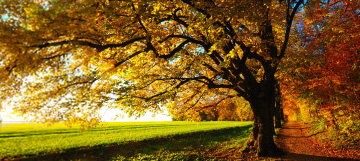 Herbst